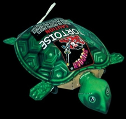 SHOGUN TORTOISE (NEW)