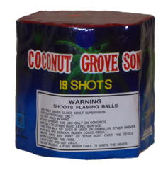 Coconut Grove Song 19 shot