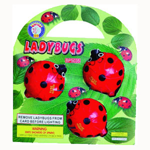 Ladybugs - Click Image to Close