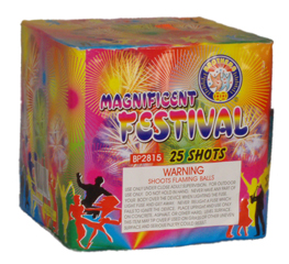 Magnificent Festival 25 shot