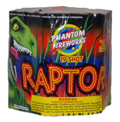 Raptor 19 shot