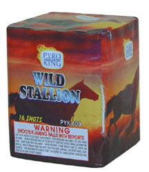 Wild Stallion 16 shot
